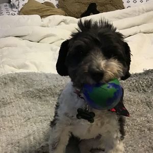 Meet your Posher, Elizabeth